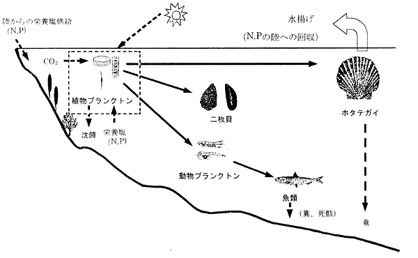 019-1.gif
