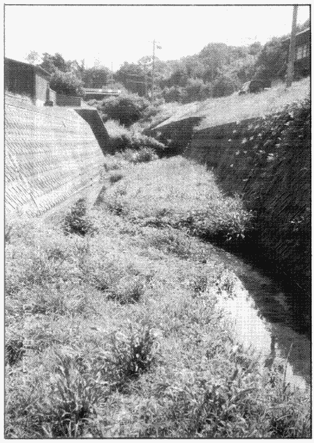 054-2.gif