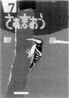 070-5.jpg