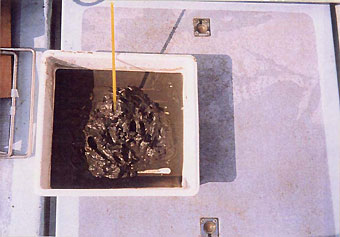 187-2.jpg