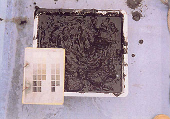187-3.jpg