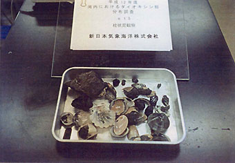 191-4.jpg