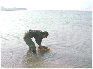 004-2.jpg