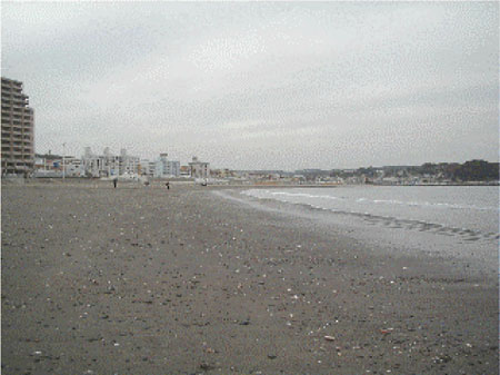 058-1.jpg