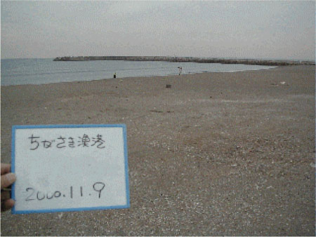 061-1.jpg