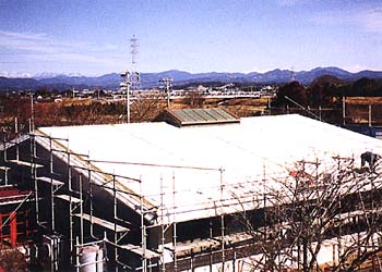 009-2.jpg