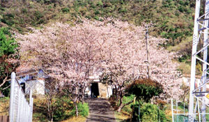 004-4.jpg