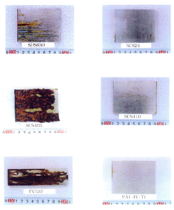 100-1.jpg