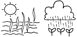 004-2.gif