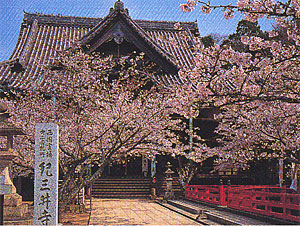 022-7.jpg