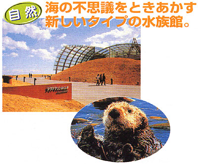023-6.jpg