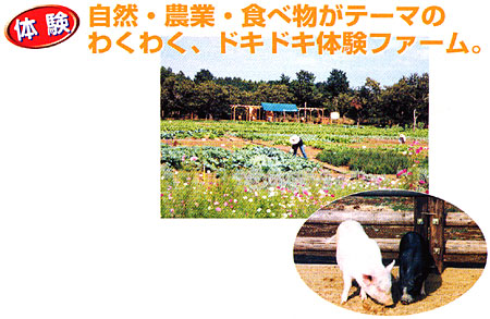 024-2.jpg