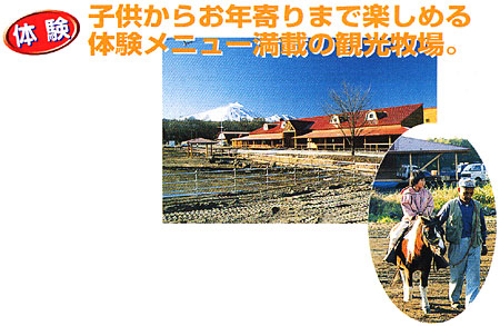 024-6.jpg