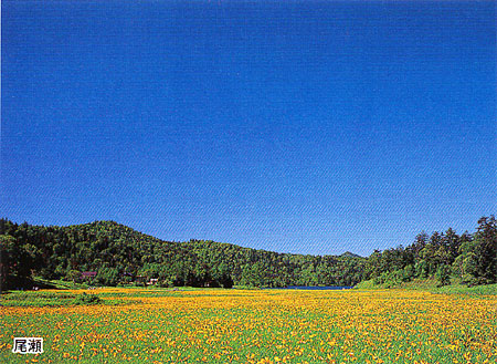 024-7.jpg