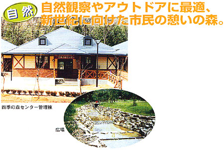 027-6.jpg