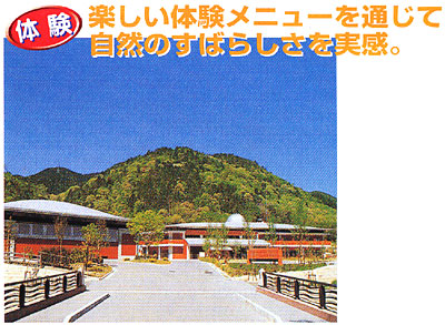 029-4.jpg