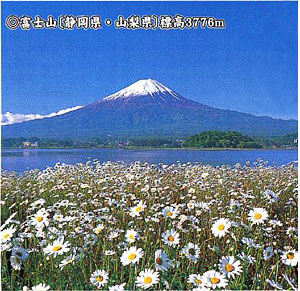 029-8.jpg