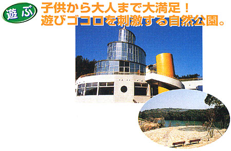 030-6.jpg