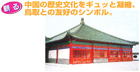 031-2.jpg