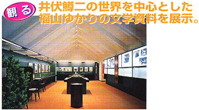 031-8.jpg