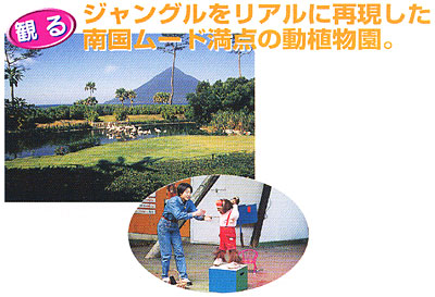 034-6.jpg
