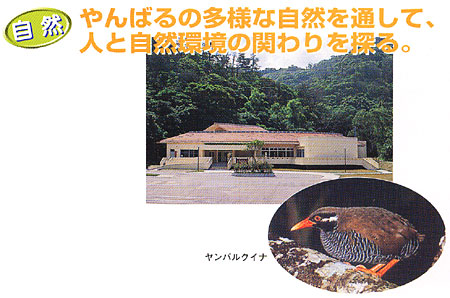 034-8.jpg