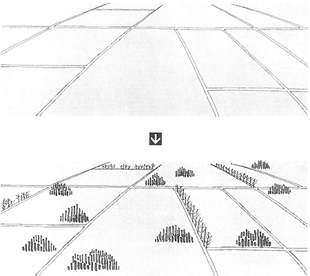 013-3.gif