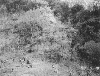 016-1.gif
