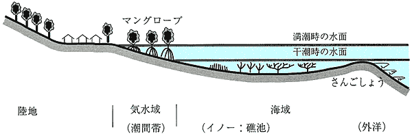 029-1.gif