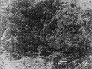 011-1.gif
