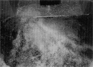013-2.gif