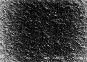 014-3.gif