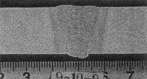 029-1.jpg