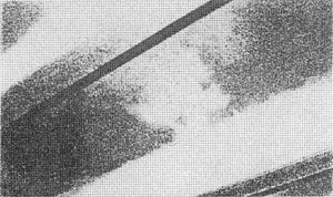 032-1.jpg