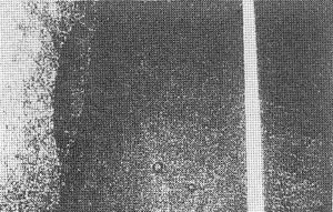 032-2.jpg