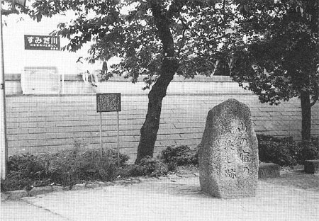 033-1.jpg