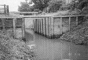 036-1.jpg