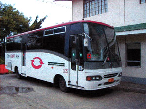 081-3.jpg