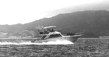 005-2.jpg