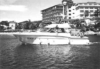 011-1.jpg