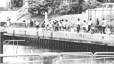 011-4.jpg