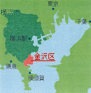 041-1.jpg