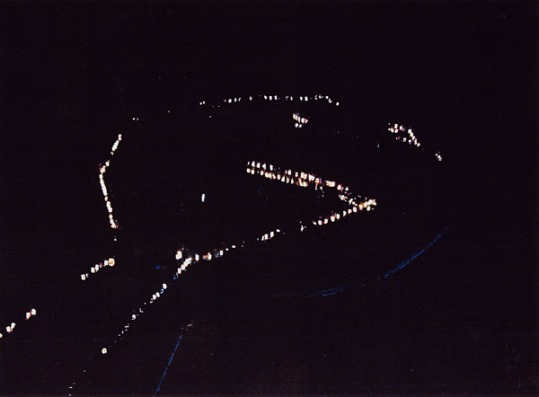 050-1.jpg