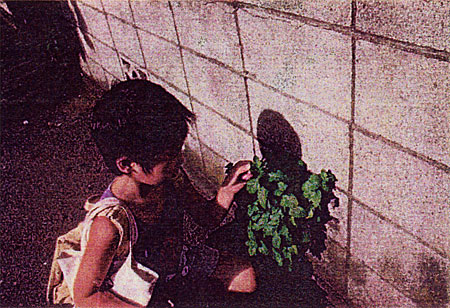 068-1.jpg