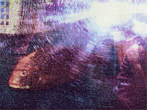 068-2.jpg