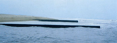 016-2.jpg