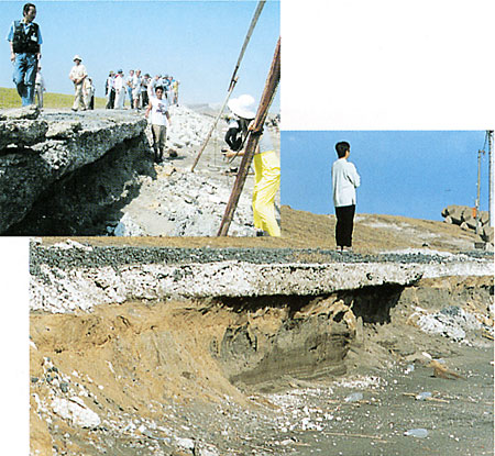033-4.jpg