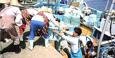 041-1.jpg
