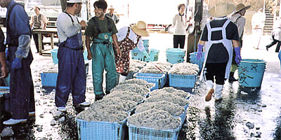041-2.jpg