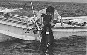 z0001_27.jpg